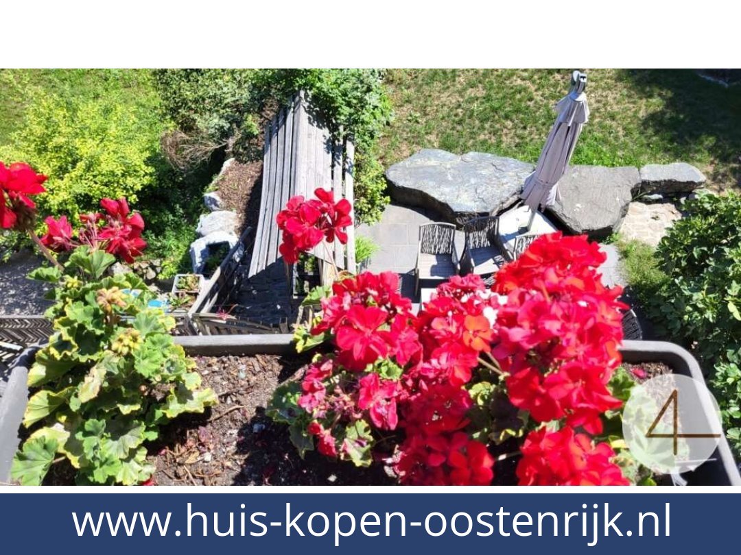 huis-kopen-oostenrijk-krems an der donau-3500-20260408232715-0007901003.jpg huis-kopen-oostenrijk-krems an der donau-3500-20260408232715-0007901003.jpg